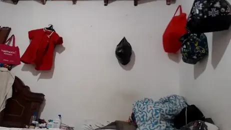 lareinalareinadelanal webcam model stream image