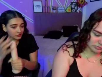 dalshel webcam model stream image