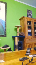 hornybigerman76 webcam model stream image