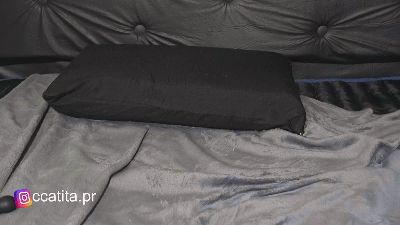 Catitapr webcam model stream image