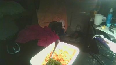 2connect420 webcam model stream image