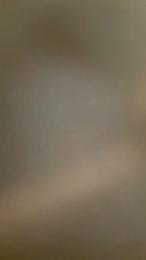 GringoDelicius webcam model stream image