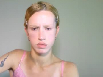 thedollxxxperience webcam model stream image