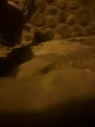 Rico1_1 webcam model stream image