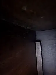 DeeBestEver webcam model stream image