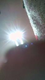 perrako_cerdako webcam model stream image