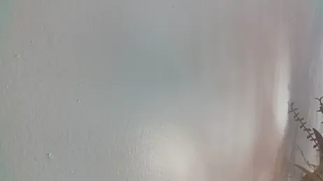 nastydianastrips webcam model stream image