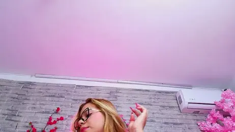 AuroraSim webcam model stream image
