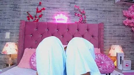 AuroraSim webcam model stream image