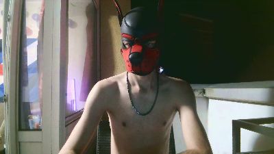 Pup_Hunter_1987 webcam model stream image