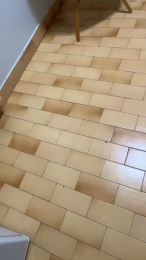 Johnna692 webcam model stream image