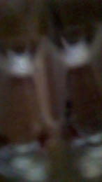 carlosyleonor23 webcam model stream image
