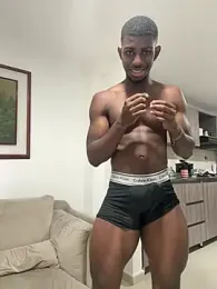 Stevenstick_ webcam preview