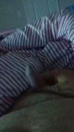 justin887 webcam model stream image