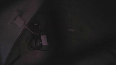 El_bolo_camian webcam cam4 model stream image