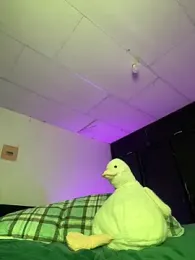 Im_Camii webcam model stream image