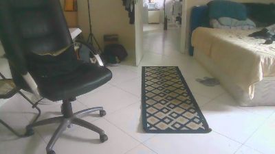 BoyPepper webcam model stream image