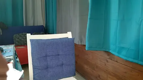 Miaelis webcam model stream image