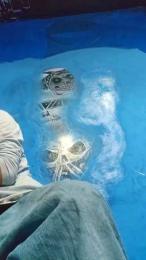 verga292 webcam model stream image