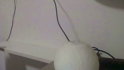 Lepolepo webcam model stream image