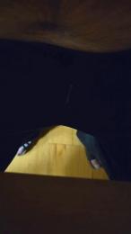 trster webcam cam4 model stream image