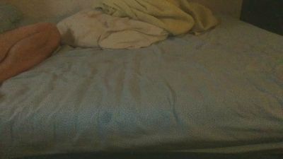 paejasexual webcam model stream image