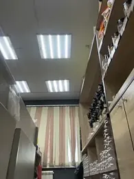 AlishaOfThorns webcam model stream image