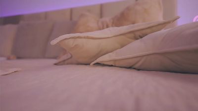 Lola_Paradis webcam model stream image