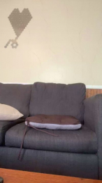 Dr_longDick91 webcam model stream image