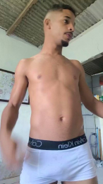 Avastmill webcam model stream image