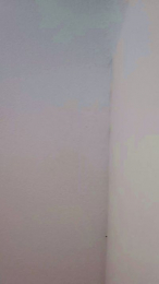 sweet_scarlett_ webcam model stream image