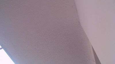 sweet_scarlett_ webcam model stream image