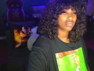 msbutterworths webcam model stream image