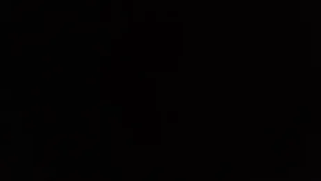 avans_15 webcam model stream image