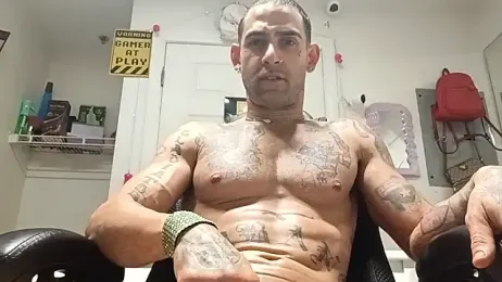 alphacloudGod webcam stripchat model stream image