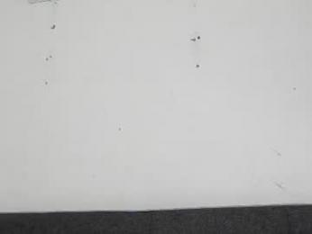 javierandaniel webcam model stream image