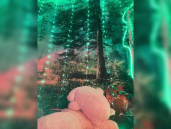 -Summer- webcam model stream image