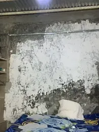 ikaro21 webcam model stream image