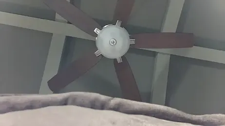 Hornylouisewil webcam stripchat model stream image