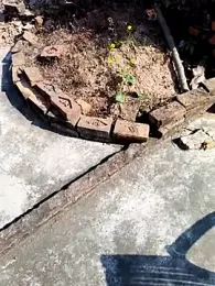 apka_rockstarr webcam model stream image