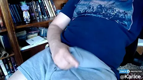 karlce webcam model stream image