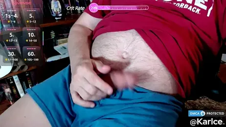 karlce webcam model stream image