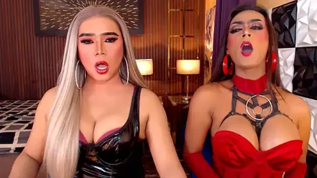 SeductiveAshleyTS webcam model stream image