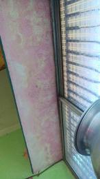 chiranjitho1 webcam model stream image