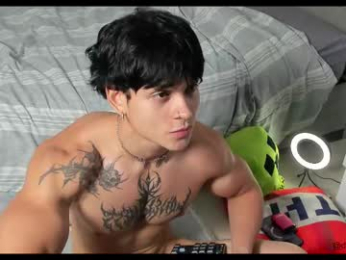 fit_prince_ webcam model stream image