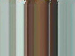 treviscapet webcam model stream image