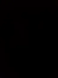 ZonkeBonkesexxy webcam model stream image
