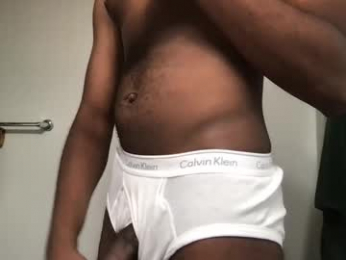 grvvss webcam model stream image