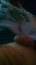 Peruvian23 webcam model stream image