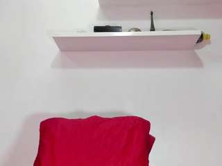 bss-naia webcam model stream image